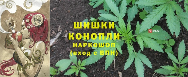 твердый Абаза