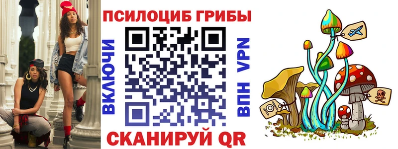 где можно купить   Гусиноозёрск  Псилоцибиновые грибы прущие грибы 